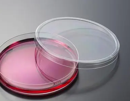 手术器械上微生物检测