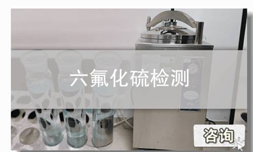 六氟化硫检测