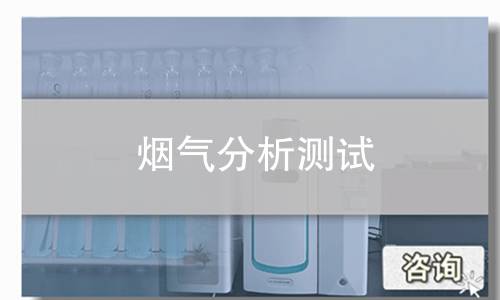 烟气分析测试