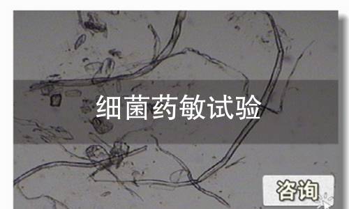 细菌药敏试验