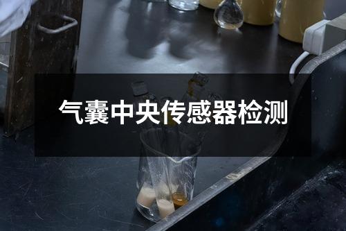 气囊中央传感器检测