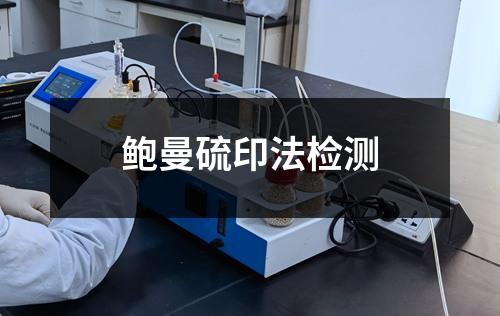 鲍曼硫印法检测