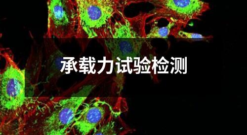 承载力试验检测