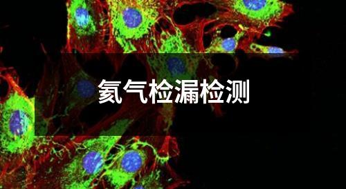 氦气检漏检测