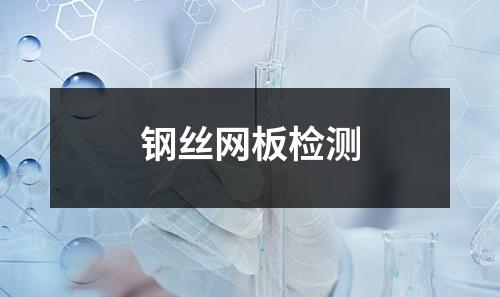 钢丝网板检测