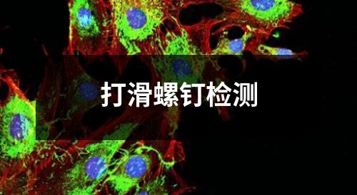 打滑螺钉检测