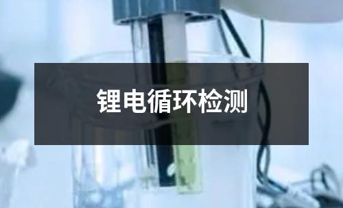 锂电循环检测