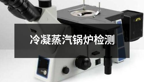 冷凝蒸汽锅炉检测