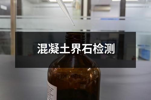 混凝土界石检测