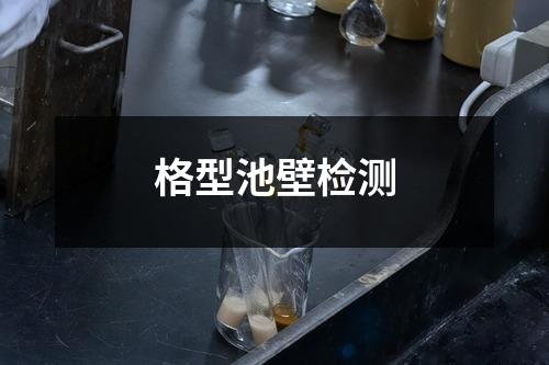 格型池壁检测