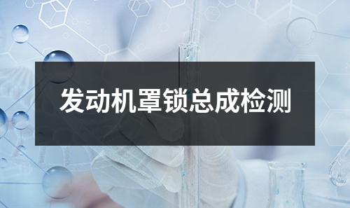 发动机罩锁总成检测