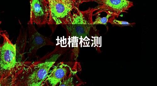 地槽检测