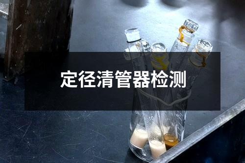 定径清管器检测
