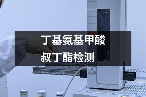 丁基氨基甲酸叔丁酯检测