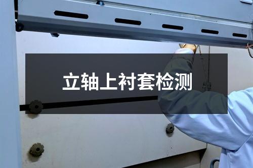 立轴上衬套检测