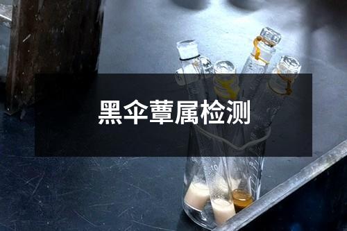黑伞蕈属检测