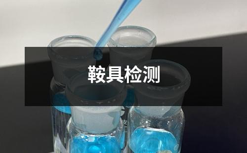 鞍具检测