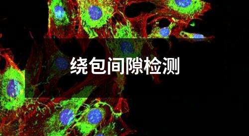 绕包间隙检测