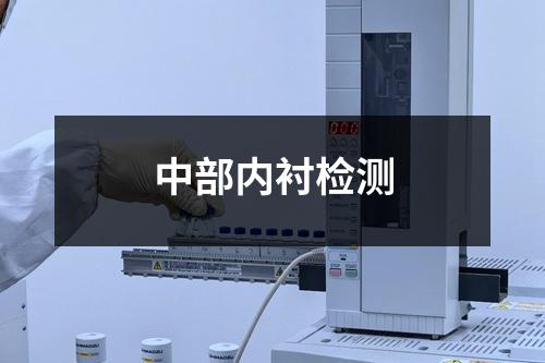 中部内衬检测