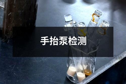 手抬泵检测