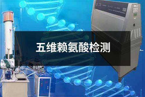 五维赖氨酸检测