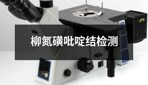 柳氮磺吡啶结检测