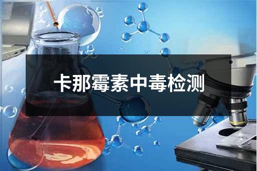 卡那霉素中毒检测