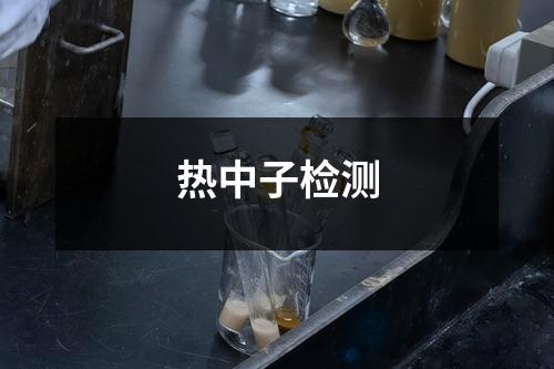 热中子检测
