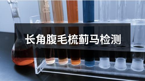 长角腹毛梳蓟马检测