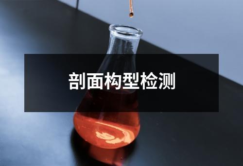剖面构型检测