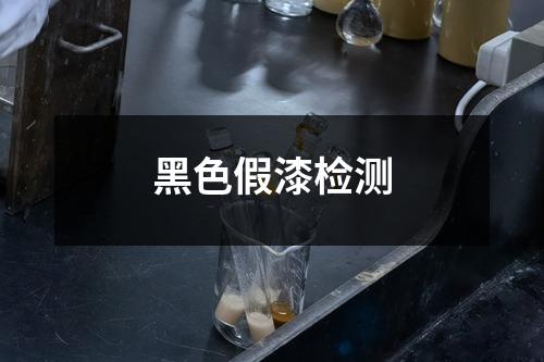 黑色假漆检测