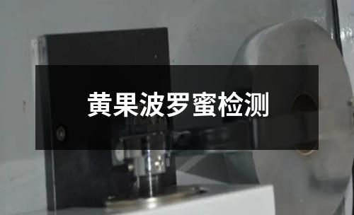 黄果波罗蜜检测