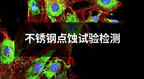 不锈钢点蚀试验检测