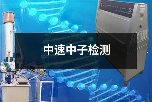 中速中子检测