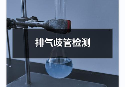 排气歧管检测