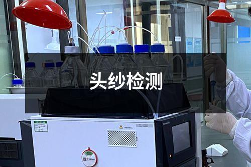 头纱检测