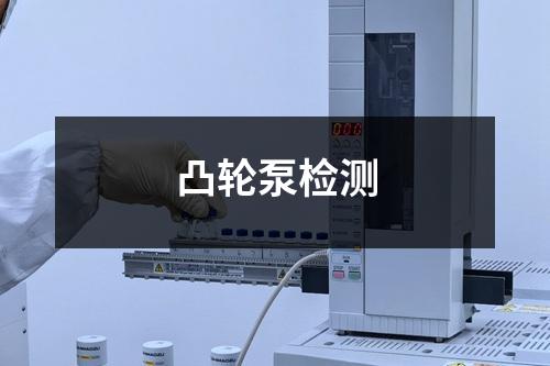凸轮泵检测