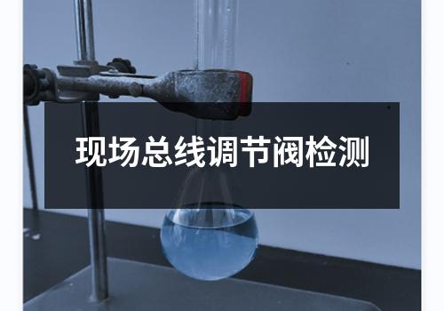 现场总线调节阀检测