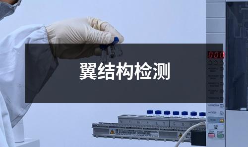 翼结构检测