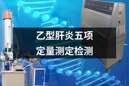 乙型肝炎五项定量测定检测