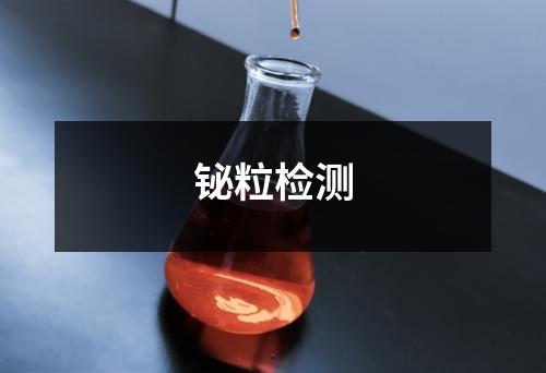 铋粒检测