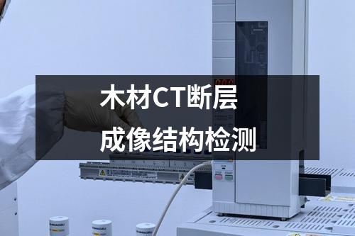 木材CT断层成像结构检测