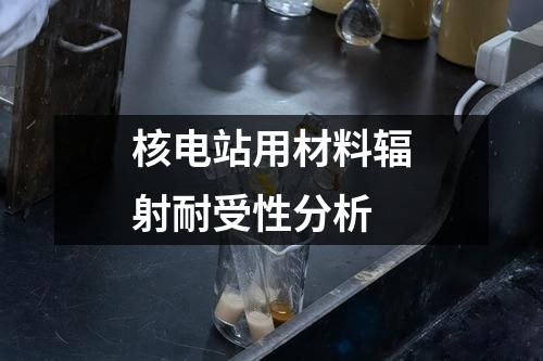 核电站用材料辐射耐受性分析