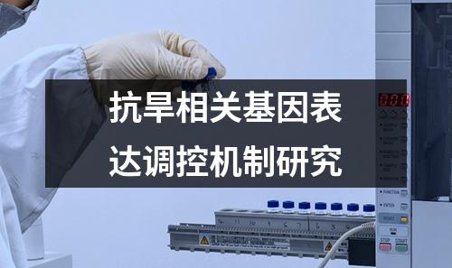 抗旱相关基因表达调控机制研究