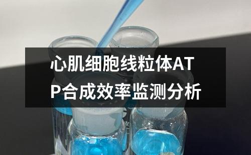 心肌细胞线粒体ATP合成效率监测分析