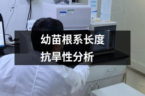 幼苗根系长度抗旱性分析