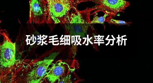 砂浆毛细吸水率分析