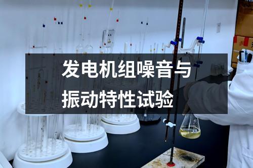发电机组噪音与振动特性试验