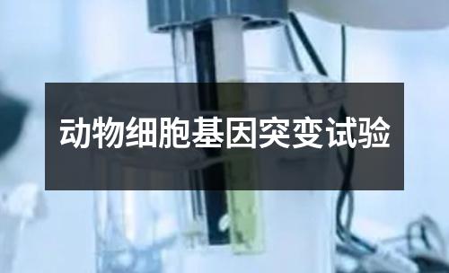 动物细胞基因突变试验