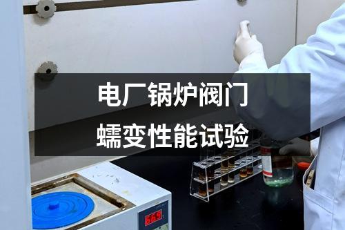 电厂锅炉阀门蠕变性能试验